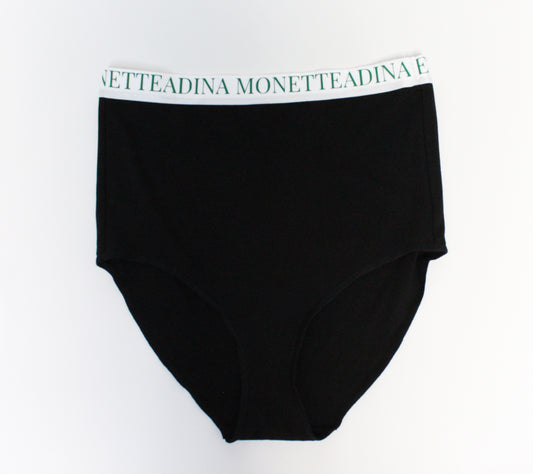 Brooklyn High Waisted Brief